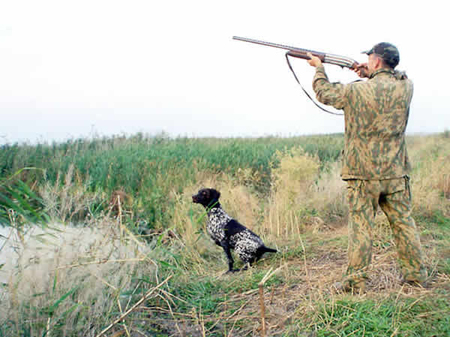 hunting